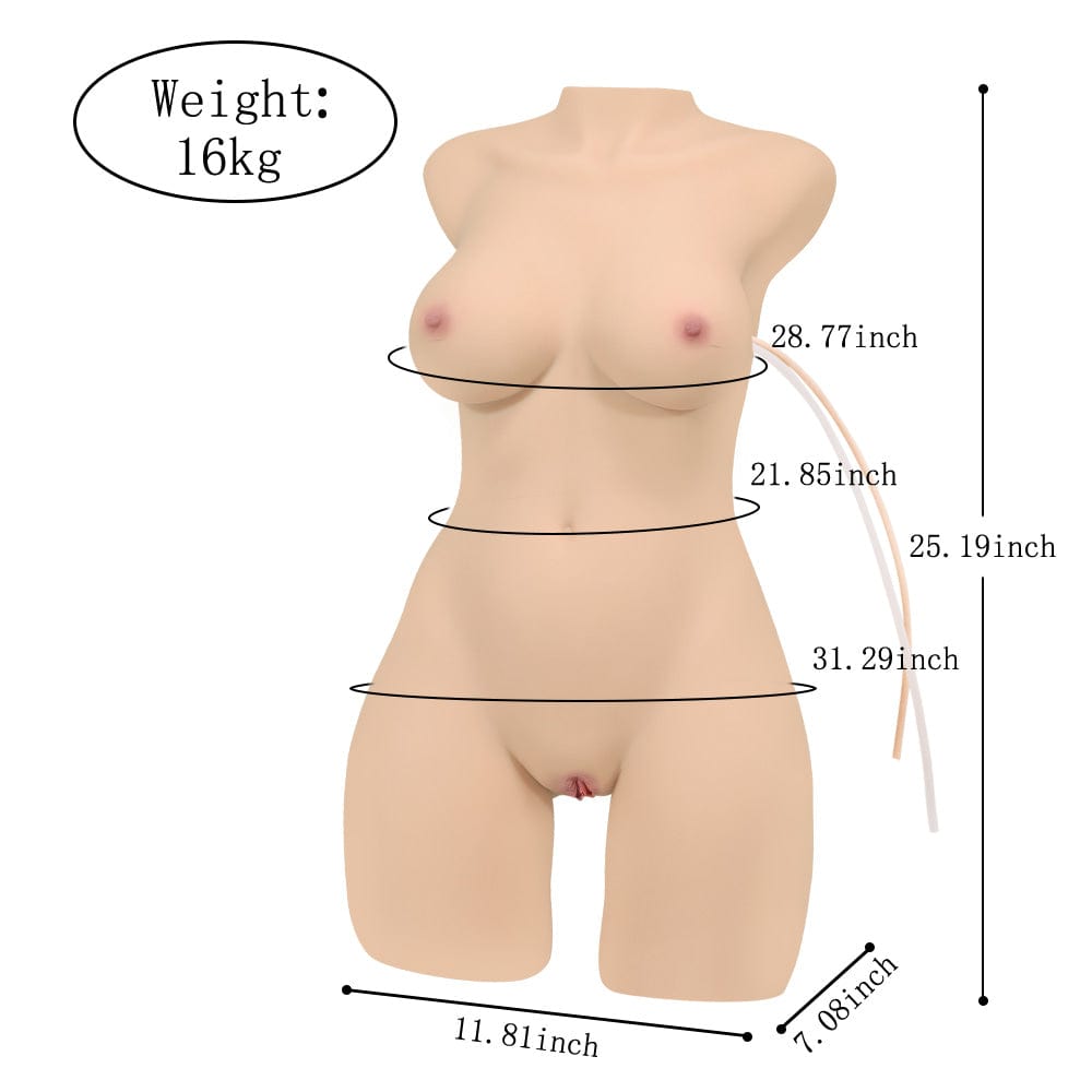 Size display of the electric half body sex doll torso with remote control