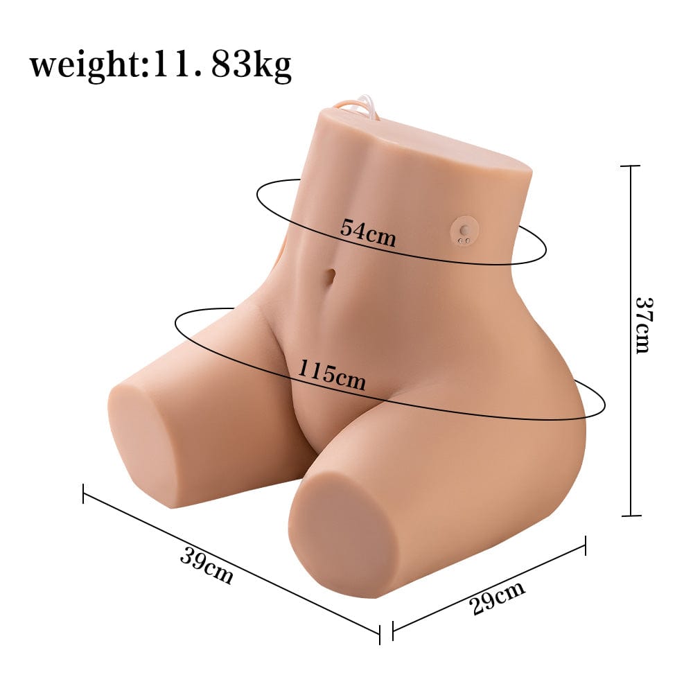 Display of dimensions for an electrically powered, creatively designed adult entertainment doll torso