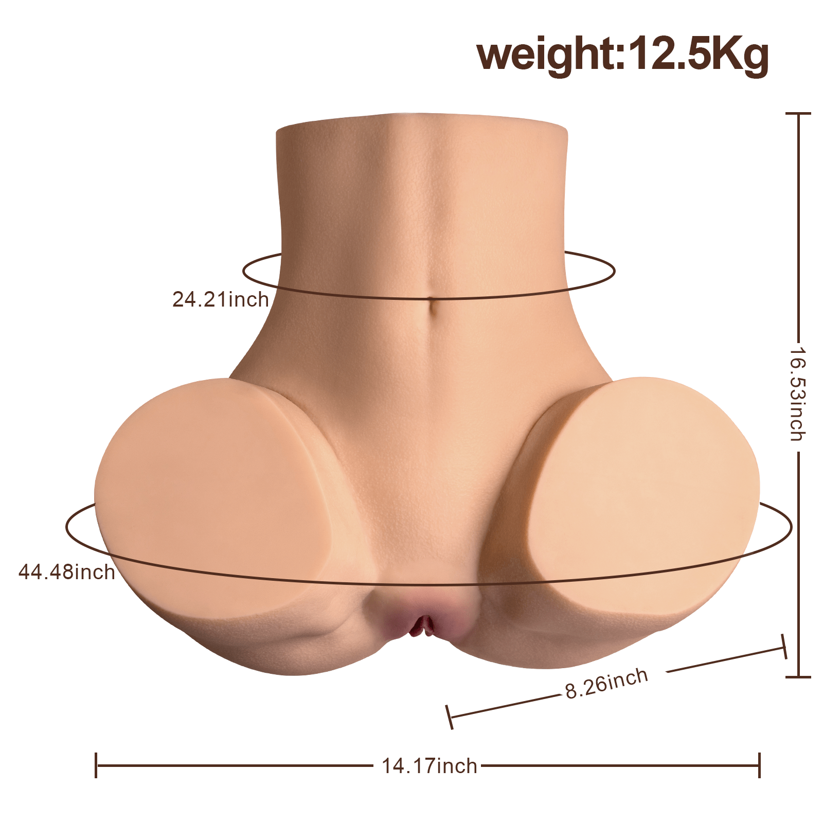 Displaying the dimensions of the luxury adult doll torso, with its lifelike skin texture emphasizing the realism in its proportions